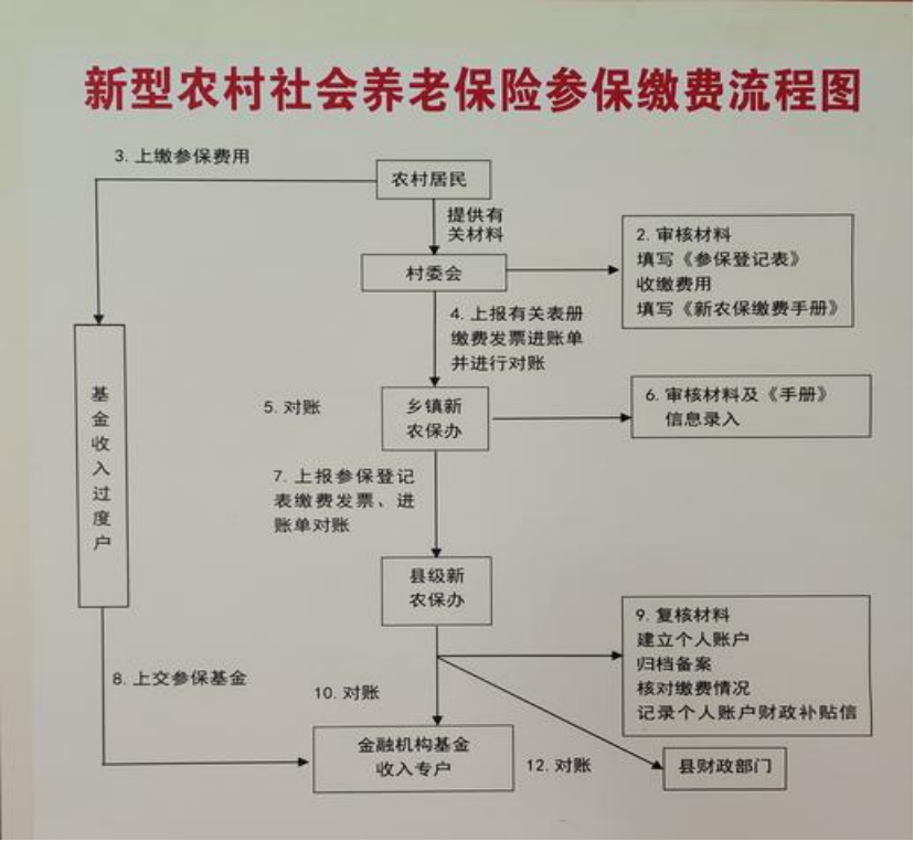 白城农村医保和社保有什么区别(农村医保跟社保的区别)
